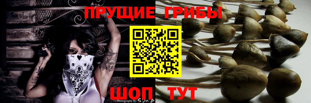 Галлюциногенные грибы ЛСД  Вход с VPN  Новочеркасск 