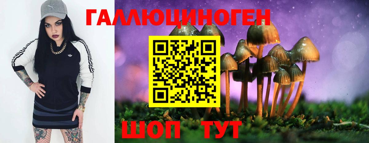 Галлюциногенные грибы Psilocybe Новочеркасск